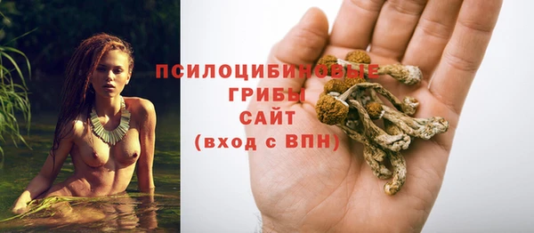 бошки Каменка