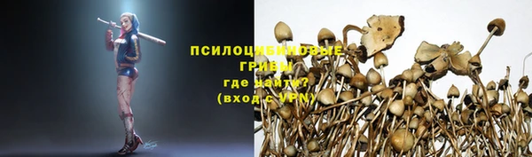 хмурый Каменск-Шахтинский