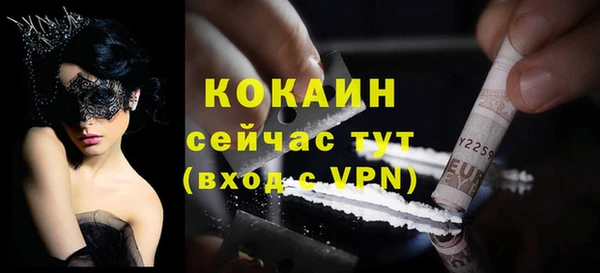 бошки Каменка