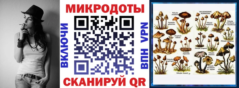 Купить где Трубчевск Псилоцибиновые грибы мухоморы